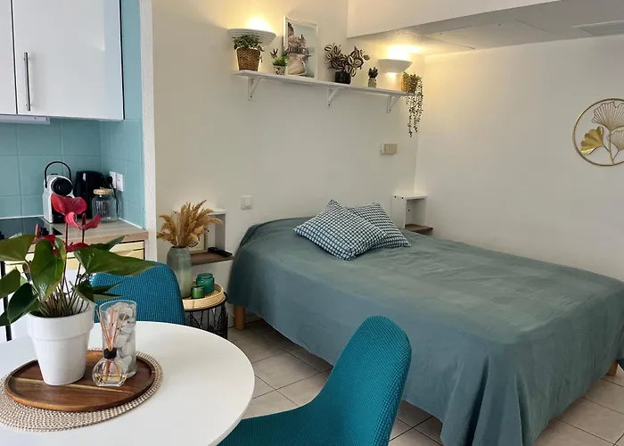 Apartment Studio Nice *